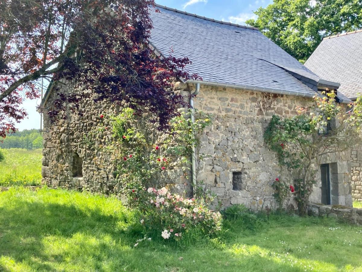 コンブール Le Nid De La Breizhidenceヴィラ エクステリア 写真